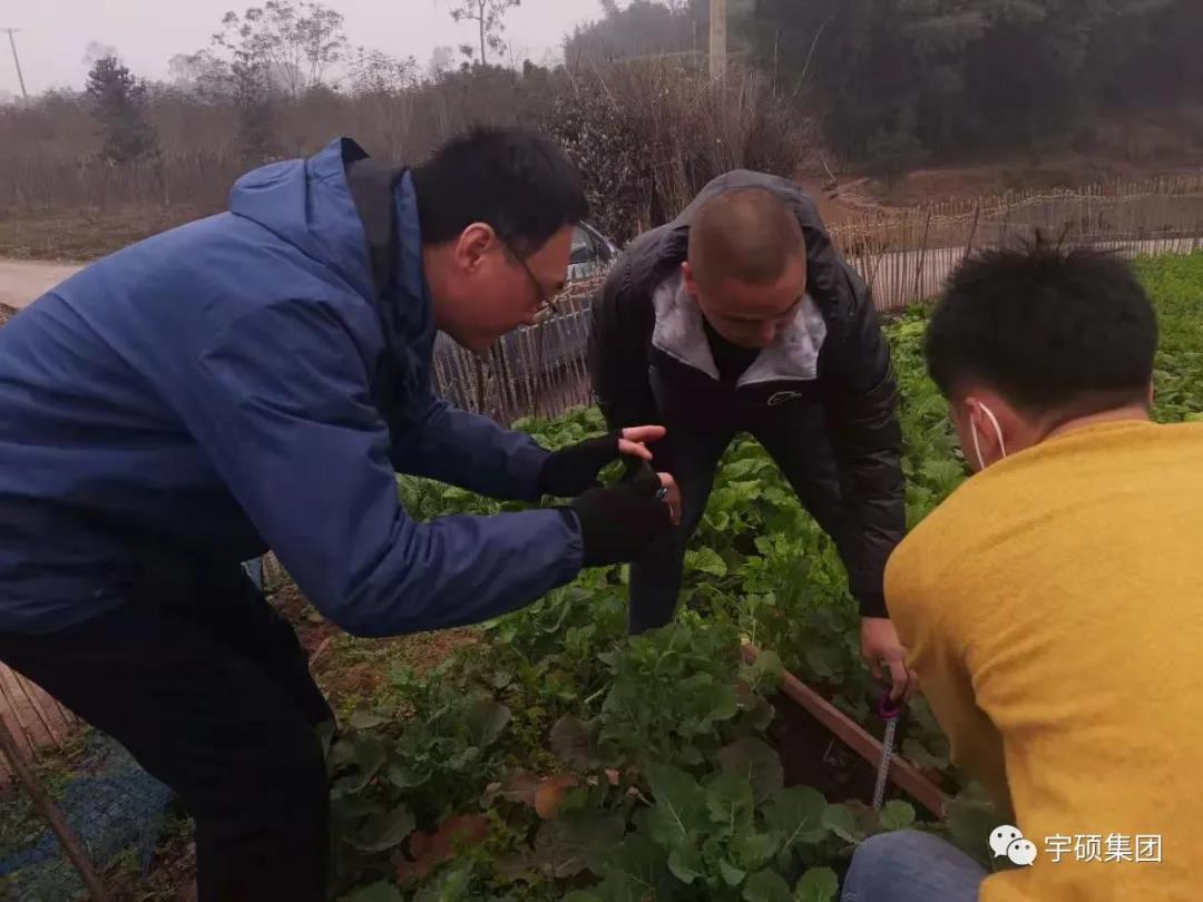 宇硕九游app官方端入口